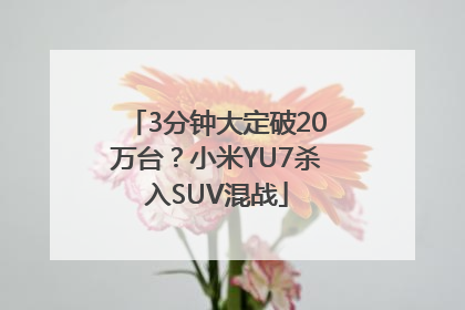 3分钟大定破20万台？小米YU7杀入SUV混战