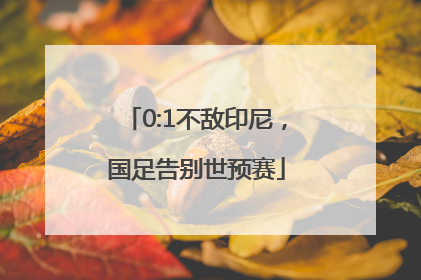 0:1不敌印尼，国足告别世预赛