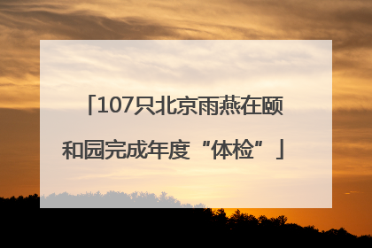 107只北京雨燕在颐和园完成年度“体检”