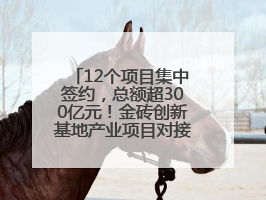 12个项目集中签约，总额超300亿元！金砖创新基地产业项目对接会举行