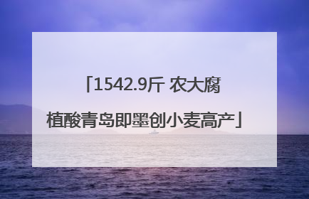 1542.9斤 农大腐植酸青岛即墨创小麦高产