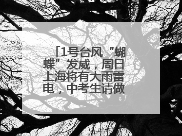 1号台风“蝴蝶”发威，周日上海将有大雨雷电，中考生请做好防范准备