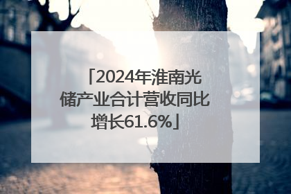 2024年淮南光储产业合计营收同比增长61.6%
