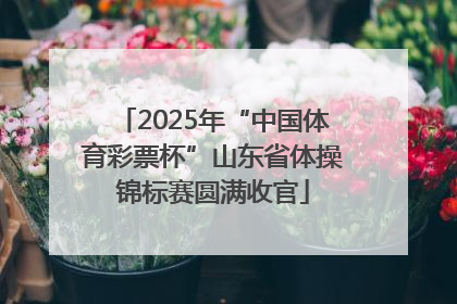 2025年“中国体育彩票杯”山东省体操锦标赛圆满收官