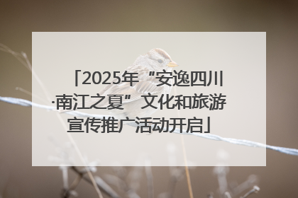 2025年“安逸四川·南江之夏”文化和旅游宣传推广活动开启