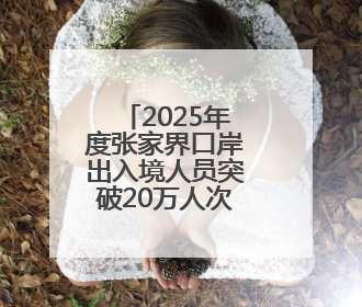 2025年度张家界口岸出入境人员突破20万人次，韩国、马来西亚、越南居客源国前三