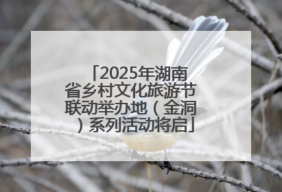 2025年湖南省乡村文化旅游节联动举办地（金洞）系列活动将启