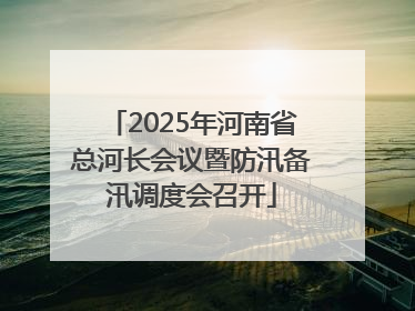2025年河南省总河长会议暨防汛备汛调度会召开