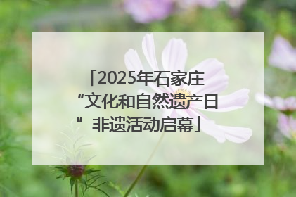 2025年石家庄“文化和自然遗产日”非遗活动启幕