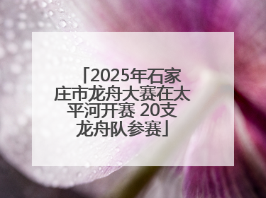 2025年石家庄市龙舟大赛在太平河开赛 20支龙舟队参赛