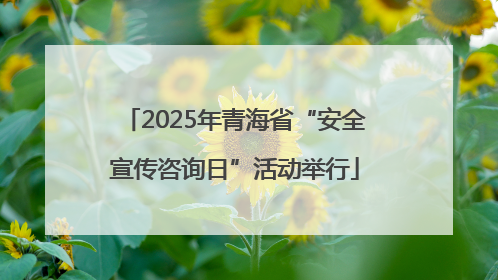 2025年青海省“安全宣传咨询日”活动举行
