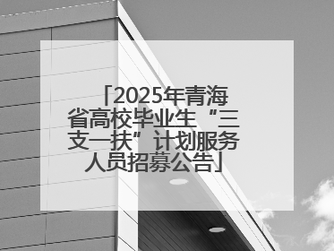2025年青海省高校毕业生“三支一扶”计划服务人员招募公告