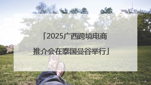 2025广西跨境电商推介会在泰国曼谷举行