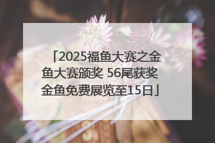 2025福鱼大赛之金鱼大赛颁奖 56尾获奖金鱼免费展览至15日