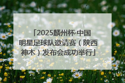 2025麟州杯·中国明星足球队邀请赛（陕西神木）发布会成功举行