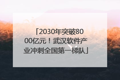 2030年突破8000亿元！武汉软件产业冲刺全国第一梯队