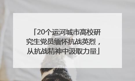 20个运河城市高校研究生党员缅怀抗战英烈，从抗战精神中汲取力量