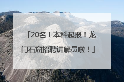 20名！本科起报！龙门石窟招聘讲解员啦！