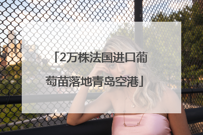 2万株法国进口葡萄苗落地青岛空港