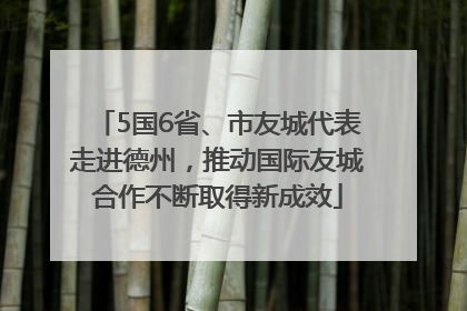 5国6省、市友城代表走进德州，推动国际友城合作不断取得新成效