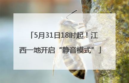 5月31日18时起！江西一地开启“静音模式”