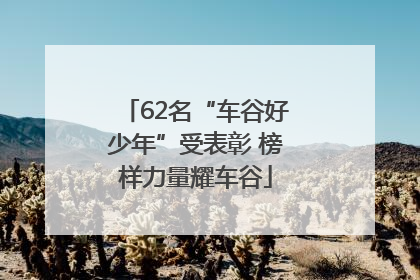 62名“车谷好少年”受表彰 榜样力量耀车谷