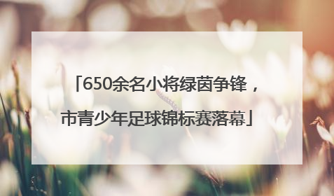 650余名小将绿茵争锋，市青少年足球锦标赛落幕
