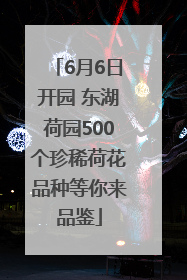 6月6日开园 东湖荷园500个珍稀荷花品种等你来品鉴