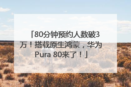 80分钟预约人数破3万！搭载原生鸿蒙，华为Pura 80来了！