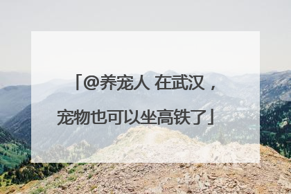 @养宠人 在武汉，宠物也可以坐高铁了