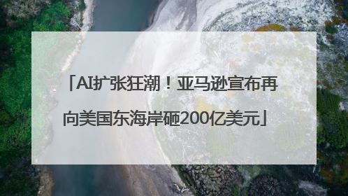 AI扩张狂潮！亚马逊宣布再向美国东海岸砸200亿美元