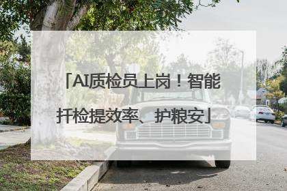 AI质检员上岗！智能扦检提效率、护粮安