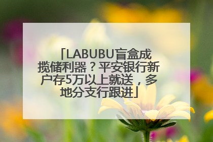 LABUBU盲盒成揽储利器？平安银行新户存5万以上就送，多地分支行跟进