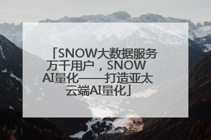 SNOW大数据服务万千用户，SNOW AI量化——打造亚太云端AI量化